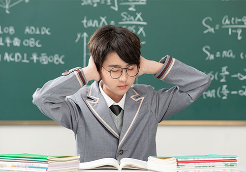 消失模振動(dòng)平臺(tái)專用松夏SHSOUNXIA橡膠氣體彈簧